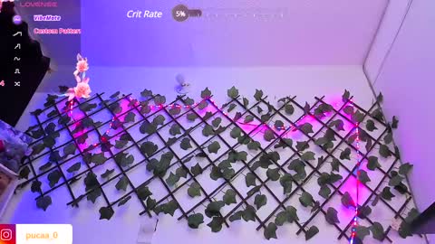 Snapshot of pucaa_ chatting on 01.31.25 Emma Rico model indep online show from 01.31.25