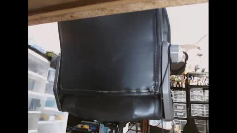 pudgy online show from 11.11.25