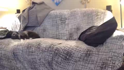 Snapshot of puff0169 chatting on 02.12.26 puff0169 online show from 02.12.26