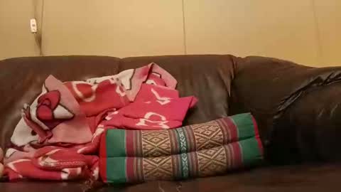 pulepower online show from 11.02.25