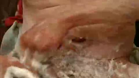 pulepower online show from 11.23.25