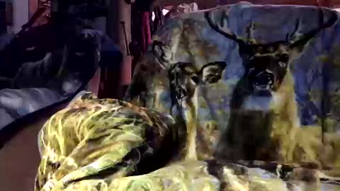 pumpslurrys online show from 10.12.25