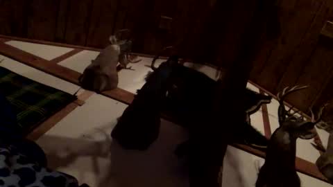 pumpslurrys online show from 12.22.25