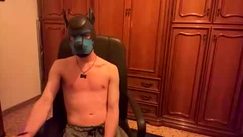 Snapshot of pup_toby chatting on 11.03.25 Toby online show from 11.03.25