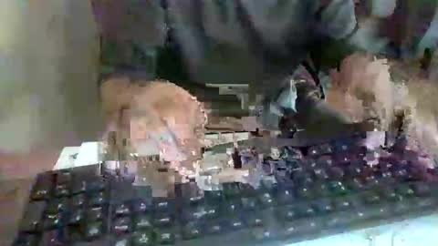 Snapshot of pup_y chatting on 09.17.25 pup_y online show from 09.17.25