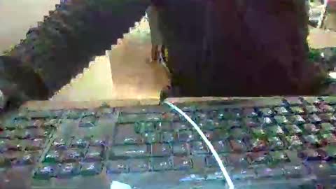 pup_y online show from 01.17.26