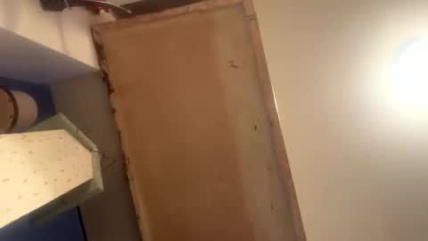 Snapshot of puss123176428 chatting on 01.02.25 puss123176428 online show from 01.02.25