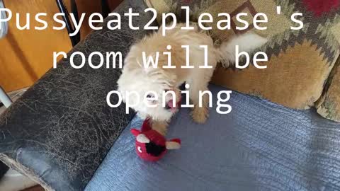 Rick online show from 03.02.25