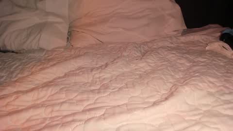 Snapshot of pvssi_ chatting on 01.26.25 Sophy online show from 01.26.25