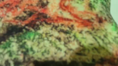 Snapshot of pvssi_ chatting on 02.16.25 Sophy online show from 02.16.25