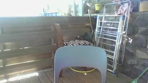 Python online show from 04.06.26