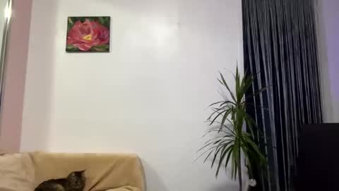 Snapshot of queen_chatur chatting on 01.28.25 Viktoria online show from 01.28.25