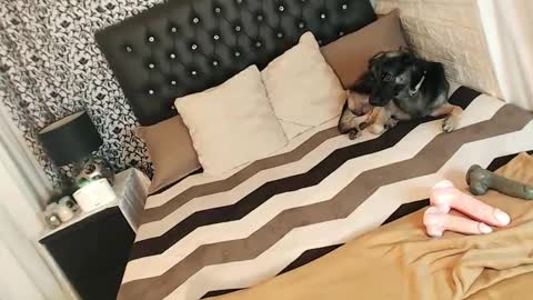 Snapshot of queen_cummer chatting on 03.05.25 Yeng online show from 03.05.25