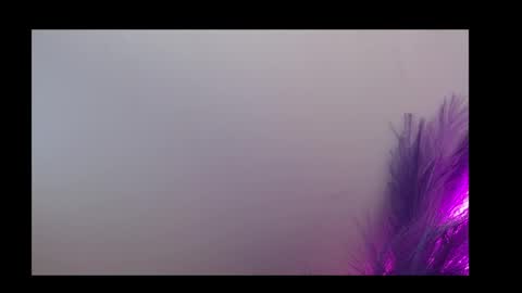 Queen Rosee  online show from 02.05.26