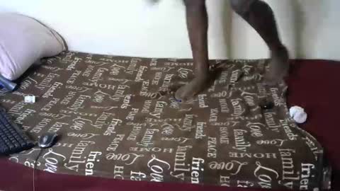 melly online show from 01.04.25