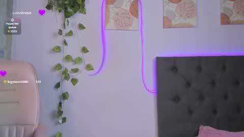    online show from 02.20.26