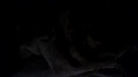 quincy joy11 online show from 03.02.26