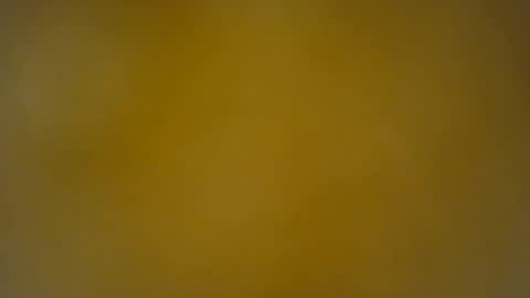 quinnxx online show from 04.20.26