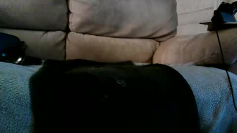 Bi daddy online show from 12.10.24