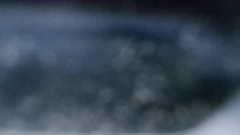 Dmitry online show from 03.15.26