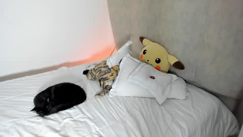 natalia  -  online show from 01.25.25