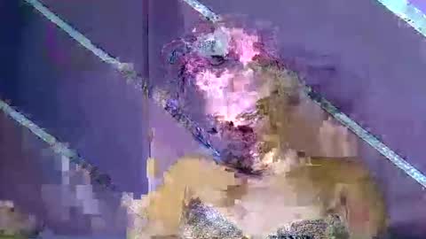 rainbow baby26 online show from 03.07.26