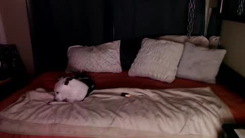 Snapshot of ramonaquinn chatting on 12.20.24 RAMONA Q online show from 12.20.24