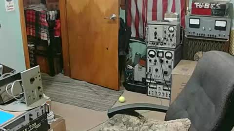 Randall online show from 01.18.26