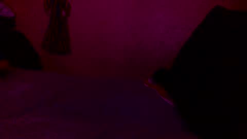 Snapshot of randobad12 chatting on 01.18.25 randobad12 online show from 01.18.25