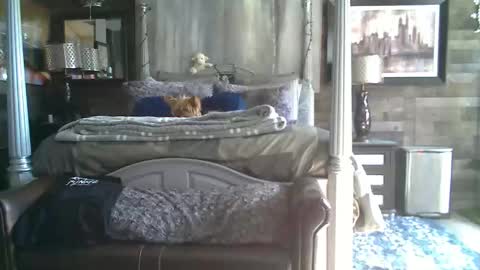 Randy8inbater online show from 01.18.26