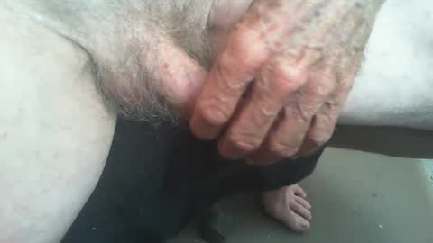 rattcatt online show from 02.18.25