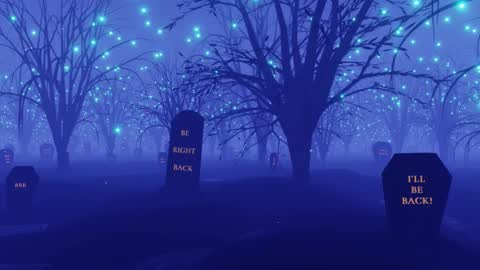 Snapshot of ray_lol chatting on 12.04.25 Ray-Ray online show from 12.04.25