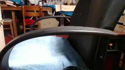 Ray online show from 11.04.25