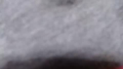 Snapshot of ready2fuk647232 chatting on 11.02.25 ready2fuk647232 online show from 11.02.25