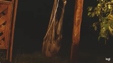 ready4aride2day online show from 04.24.26