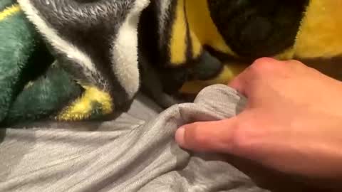 Snapshot of realbigload77 chatting on 09.20.25 realbigload77 online show from 09.20.25