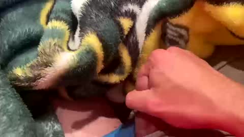 Snapshot of realbigload77 chatting on 10.11.25 realbigload77 online show from 10.11.25