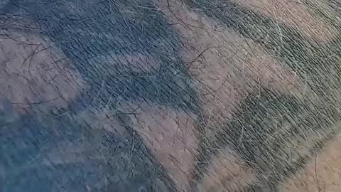 realrubpirate online show from 09.09.25