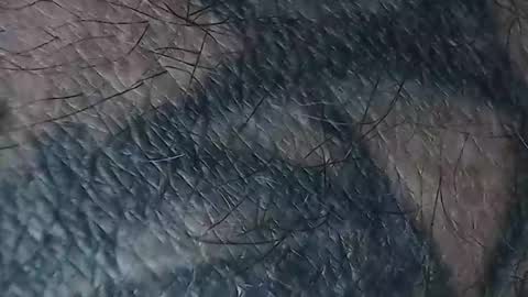 realrubpirate online show from 03.18.26