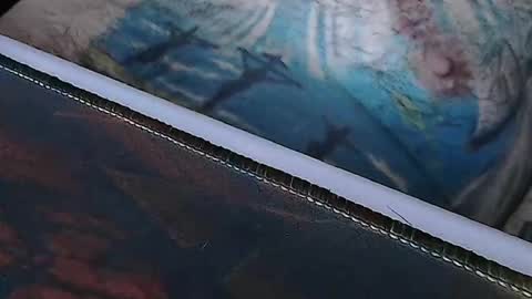 realrubpirate online show from 04.01.26