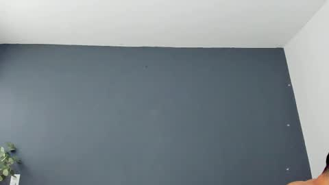 twitter REECET26 instagram RECCETAYLOR online show from 11.07.25