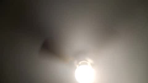 red24devils online show from 01.04.25