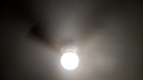 red24devils online show from 01.16.25