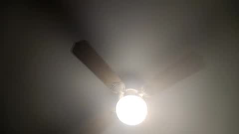 red24devils online show from 02.14.25