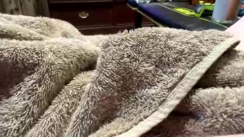 Red online show from 03.17.26