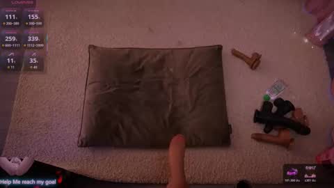 Redhead Shark online show from 01.09.26