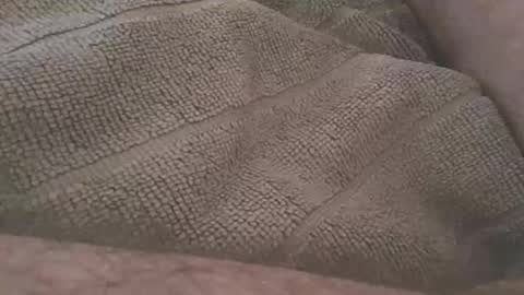 redwhiteblue_24 online show from 04.23.26