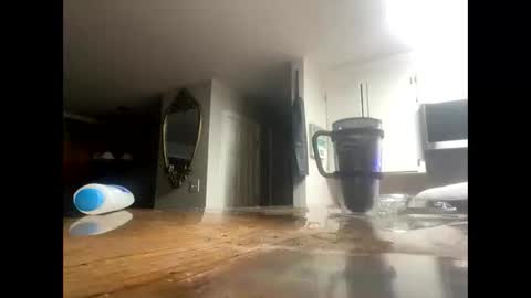 Lee online show from 10.15.25