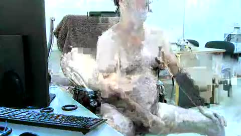 region4 online show from 04.19.26