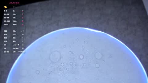 reiinachloe online show from 04.02.26